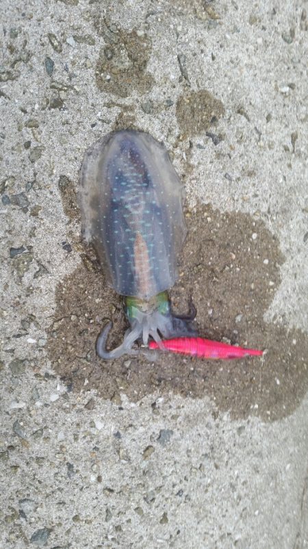 どこいったん？